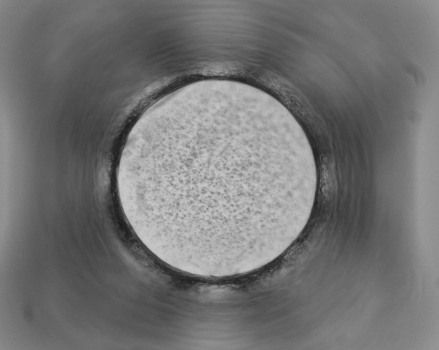 X0000112890208200910021421