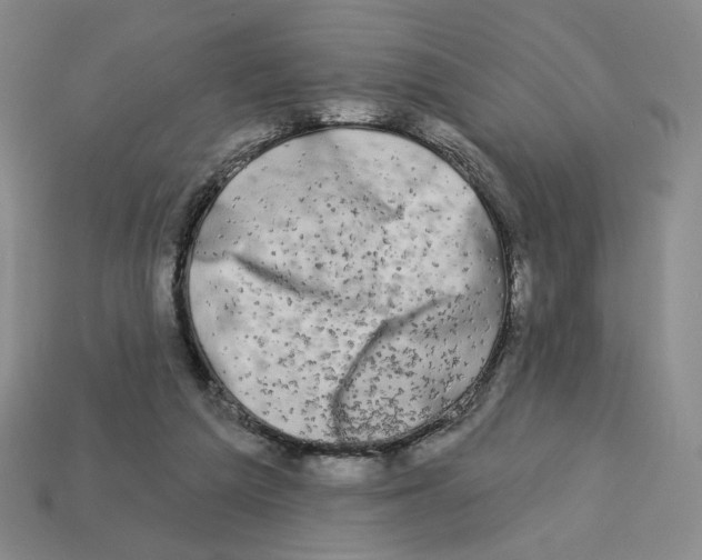 X0000112890209200910021421