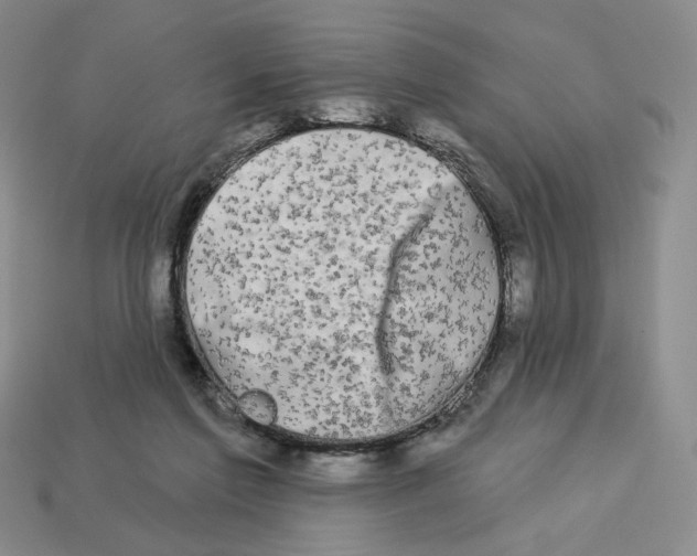 X0000112890213200910021421