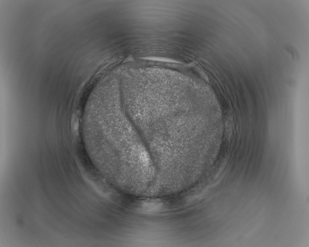 X0000112890214200910021421