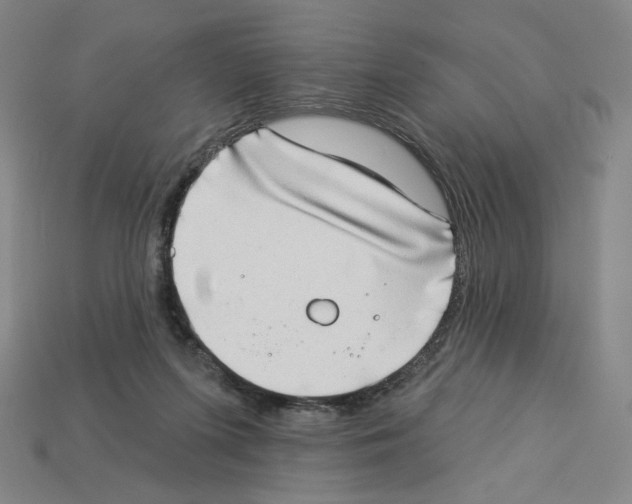 X0000112890215200910021421
