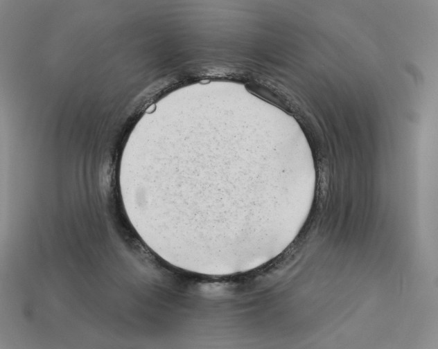 X0000112890216200910021421
