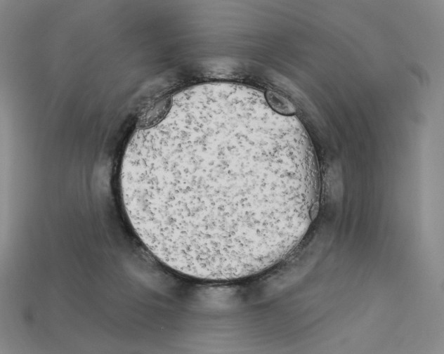 X0000112890217200910021421