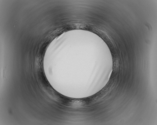 X0000112890218200910021421