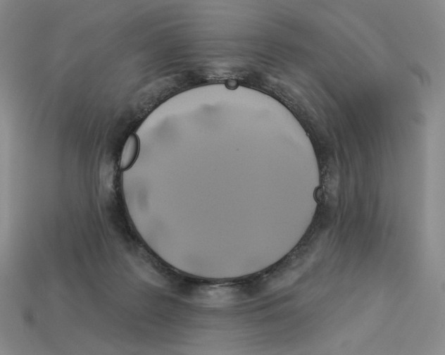 X0000112890219200910021421