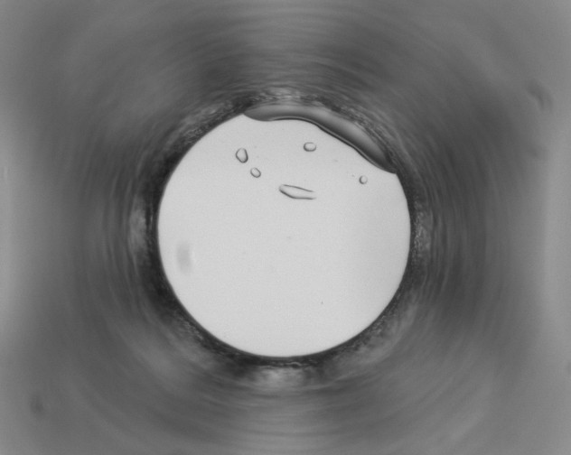 X0000112890220200910021421