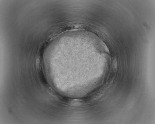 X0000112890222200910021421