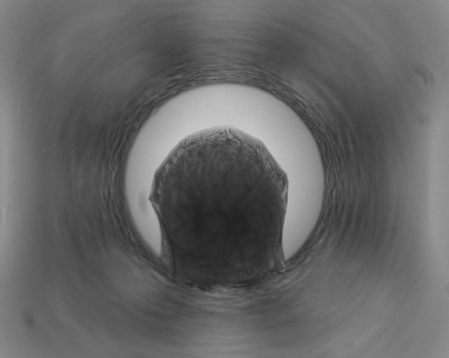 X0000112890223200910021421