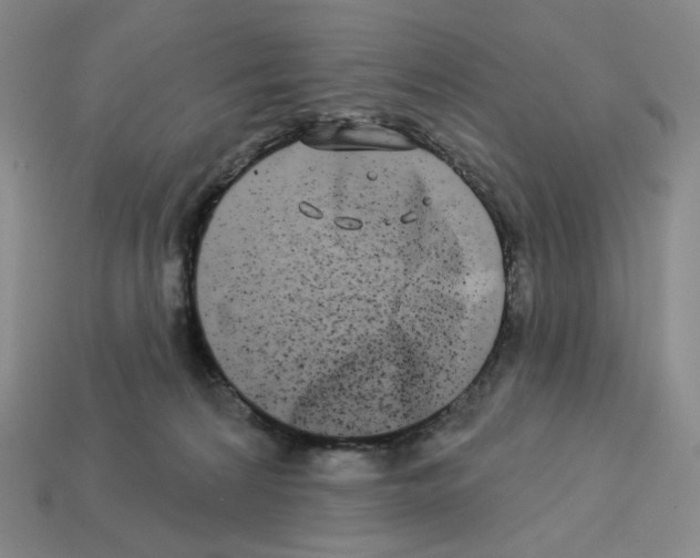 X0000112890224200910021421