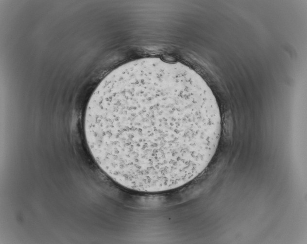 X0000112890225200910021421