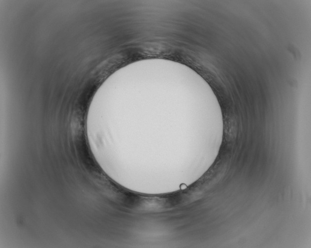 X0000112890226200910021421