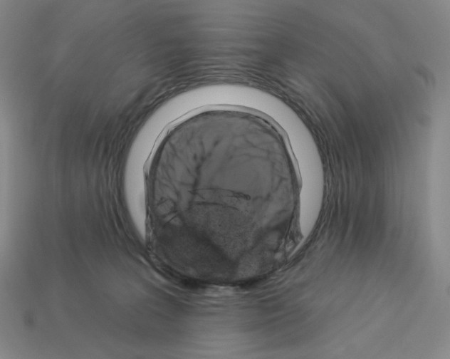 X0000112890227200910021421