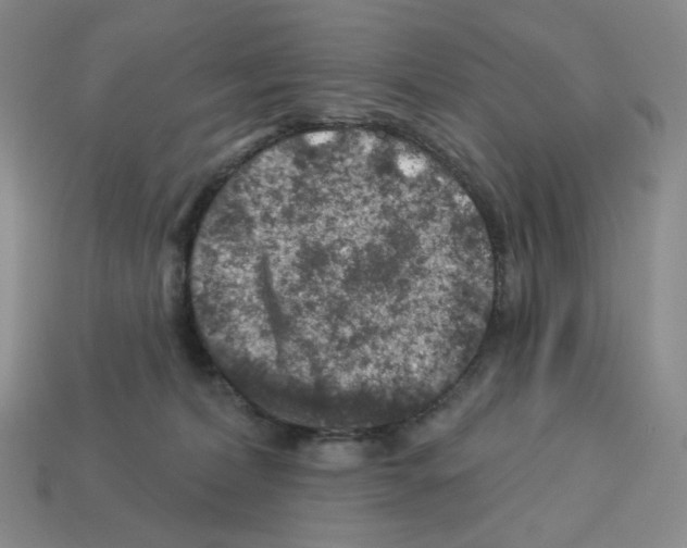 X0000112890228200910021421