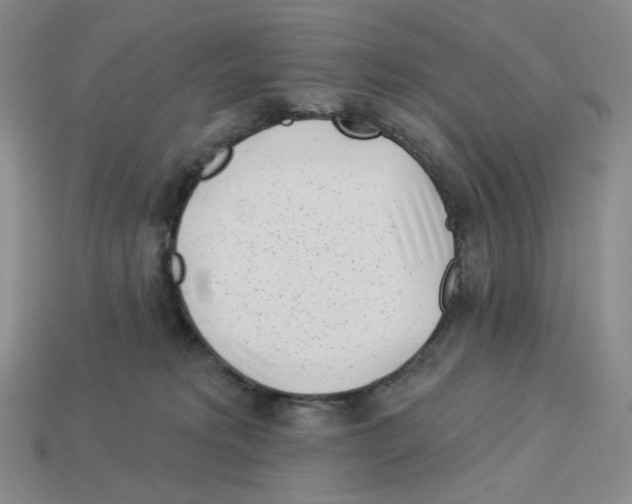 X0000112890229200910021421
