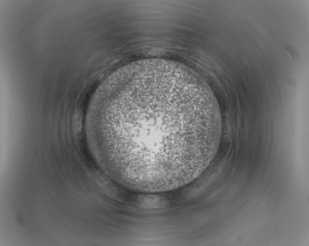 X0000112890230200910021421