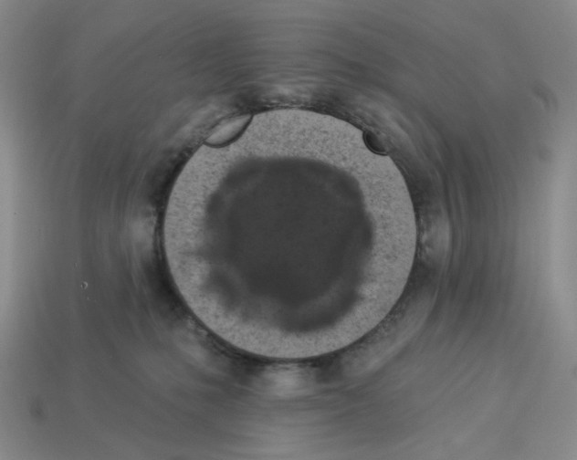 X0000112890231200910021421