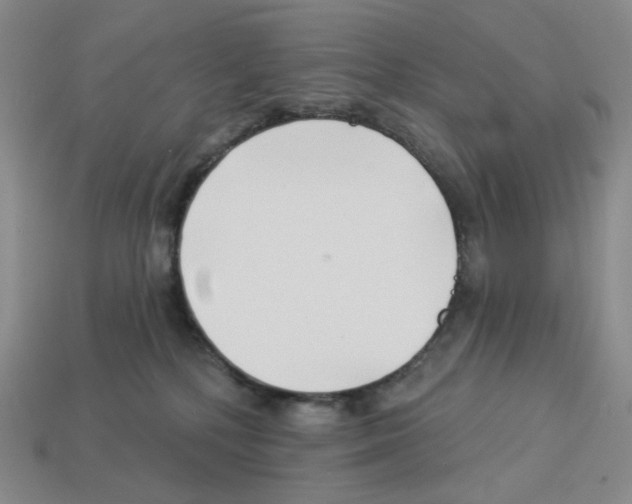 X0000112890232200910021421