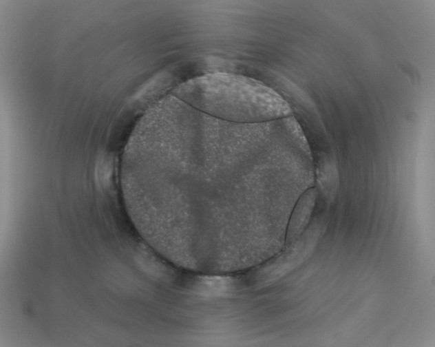 X0000112890233200910021421