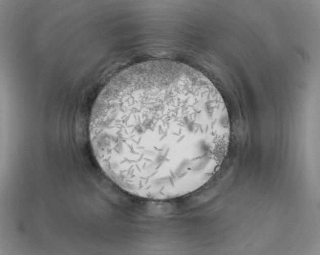 X0000112890234200910021420