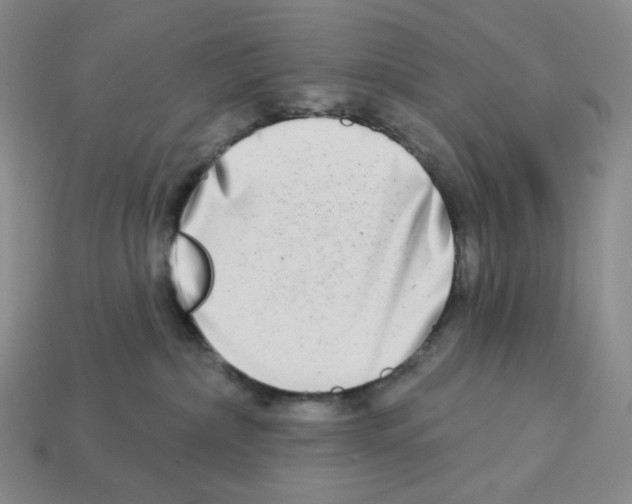 X0000112890236200910021420