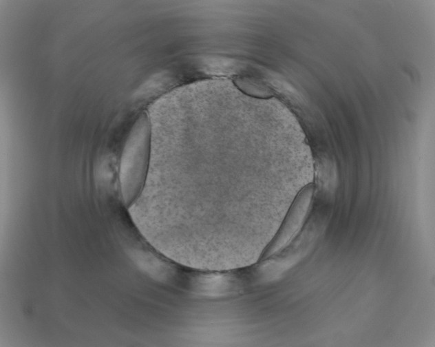 X0000112890237200910021420