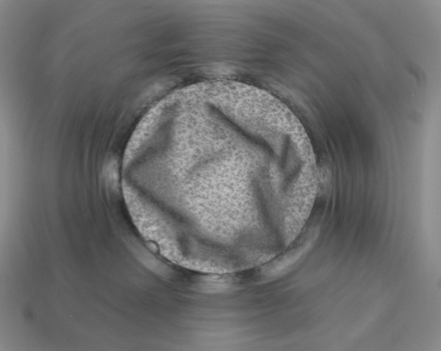 X0000112890238200910021420