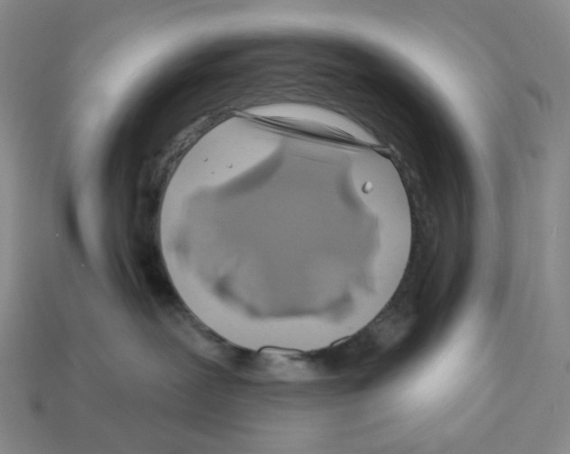 X0000112890239200910021420
