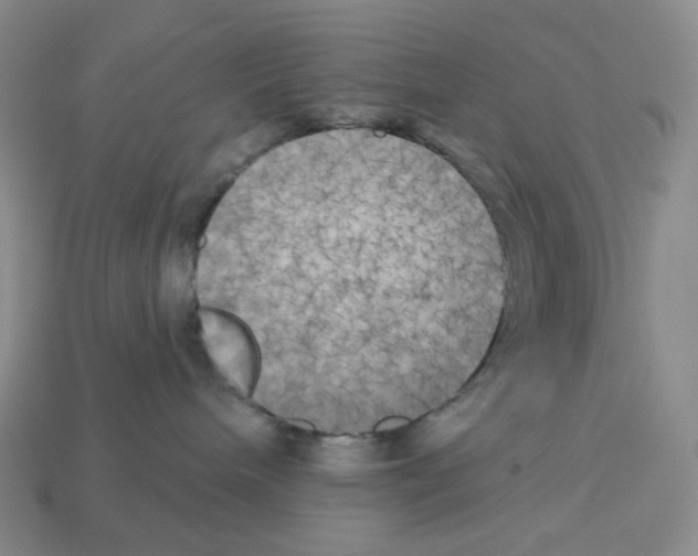X0000112890240200910021420