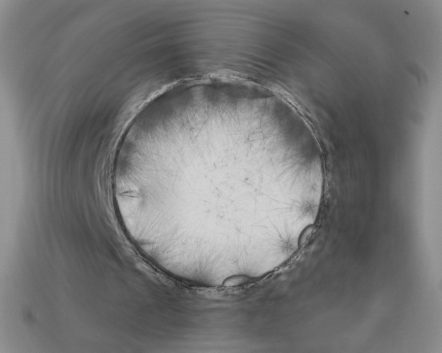 X0000112890241200910021420