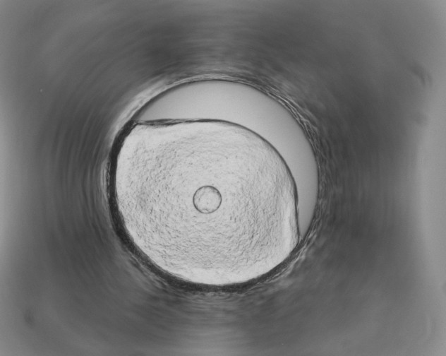 X0000112890244200910021420