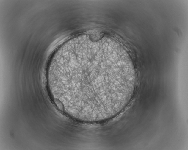 X0000112890245200910021420