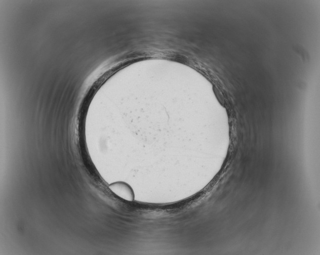 X0000112890246200910021420