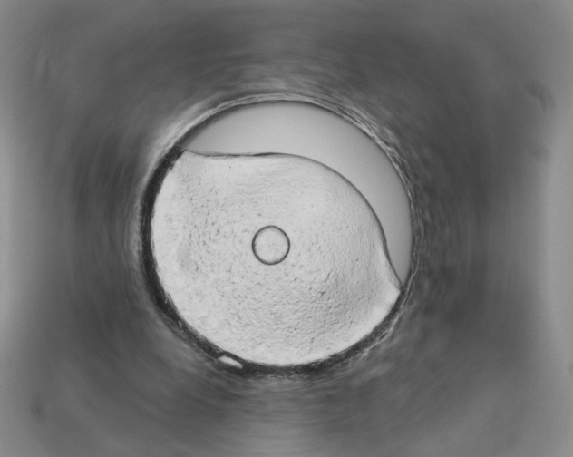X0000112890248200910021420