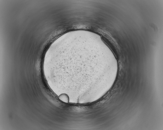 X0000112890250200910021420