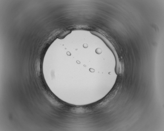 X0000112890253200910021420