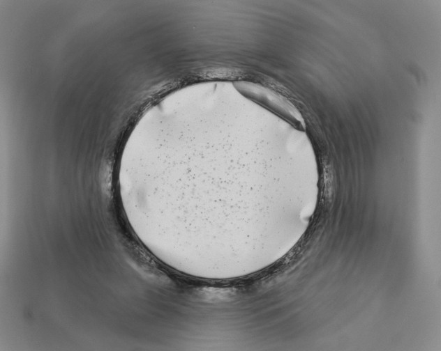 X0000112890255200910021420