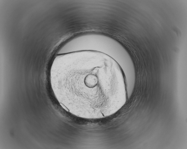 X0000112890256200910021420