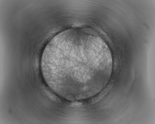 X0000112890257200910021420