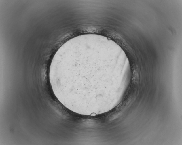 X0000112890259200910021420