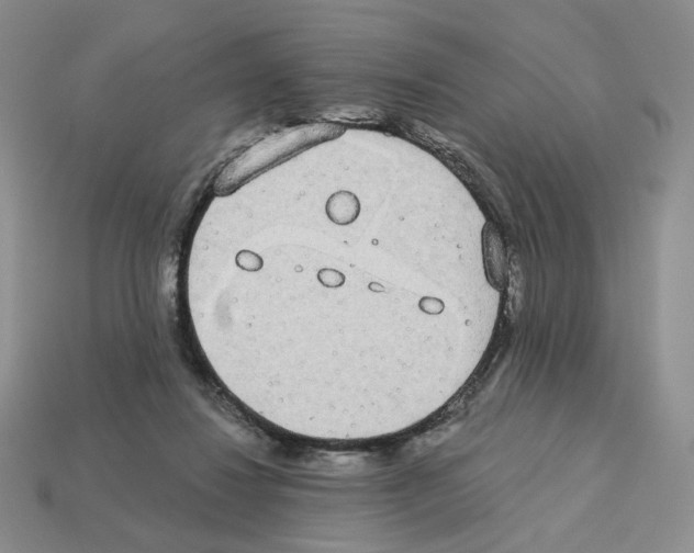 X0000112890260200910021420