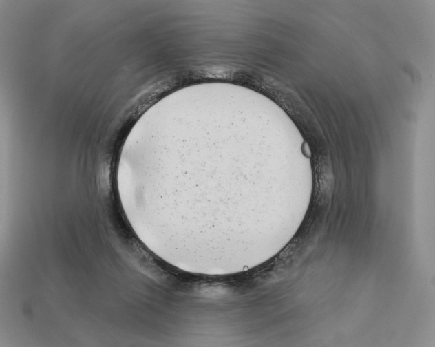X0000112890262200910021420