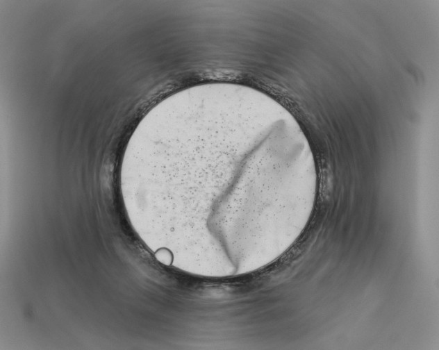 X0000112890263200910021420