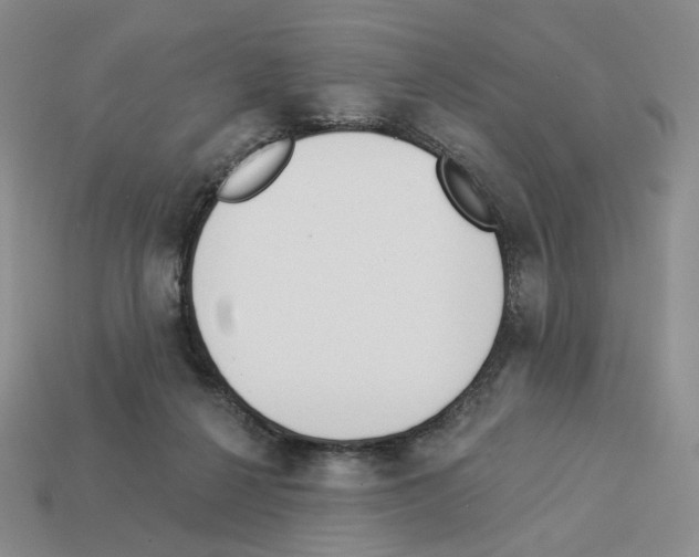 X0000112890264200910021420