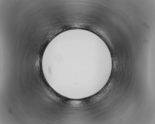 X0000112890265200910021420