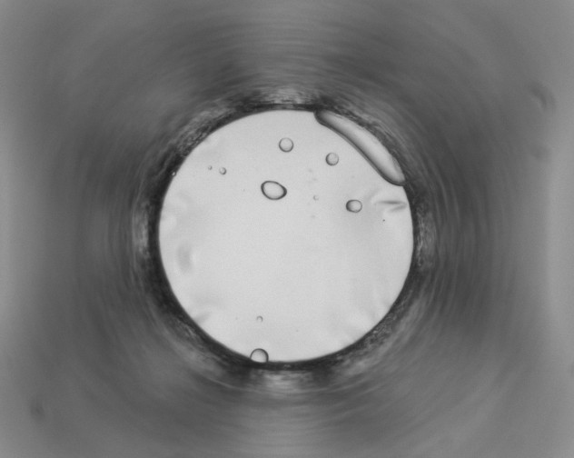 X0000112890268200910021420