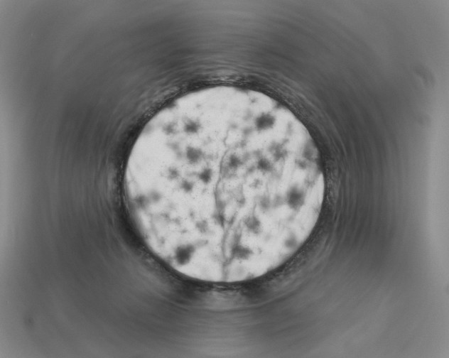 X0000112890270200910021420