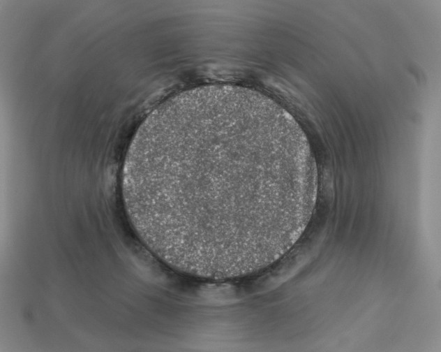 X0000112890271200910021420