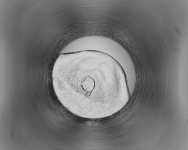 X0000112890272200910021420