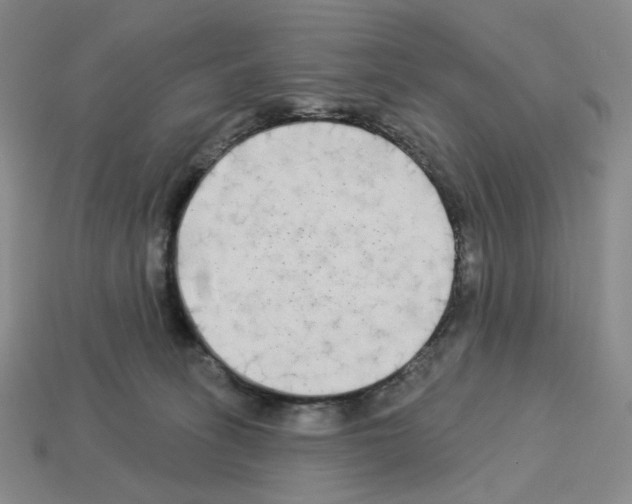 X0000112890275200910021420