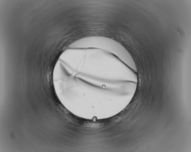 X0000112890276200910021420